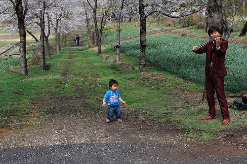 ◆赤城南面千本桜が見頃です◆