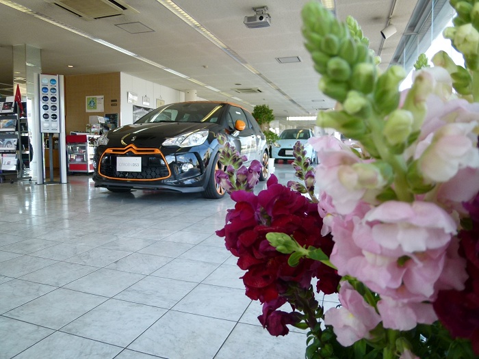CITROEN Eco Plus Fair　開催中◆4/7～4/8◆