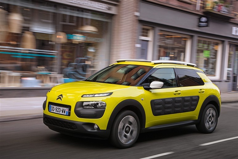 ★C4 CACTUS ★