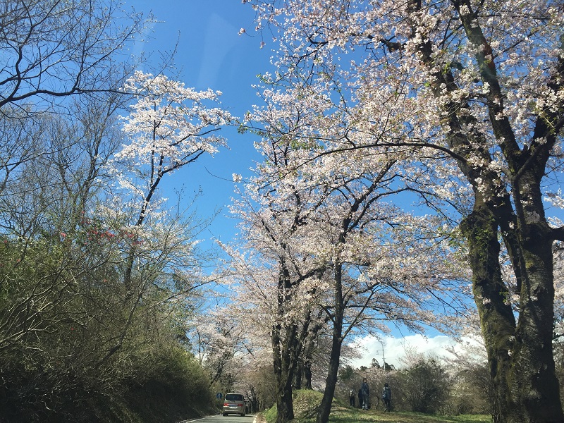 ４月の思い出