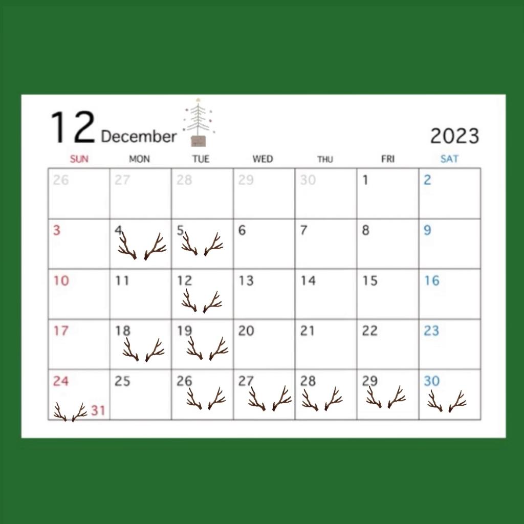 １２月営業日のお知らせ🎄